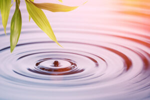 Fresh bamboo leaves over water